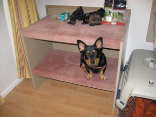 IMG_2968 IMG_2968