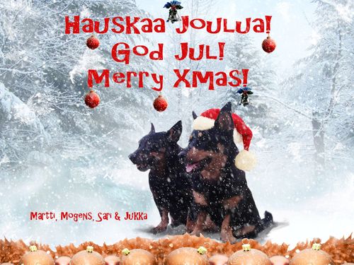 Xmas2013 (2)