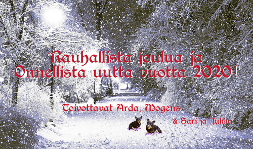 Joulu 2019 mid